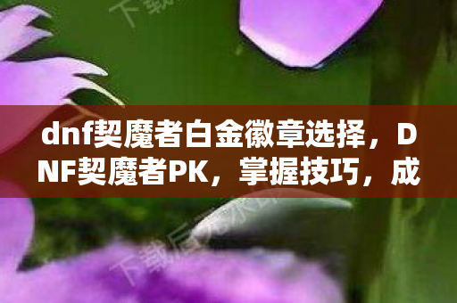 dnf契魔者白金徽章选择，DNF契魔者PK，掌握技巧，成为决斗王者