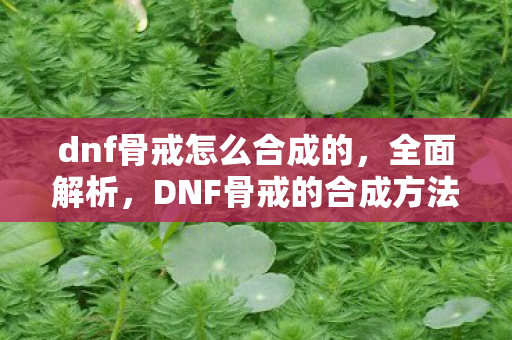 dnf骨戒怎么合成的，全面解析，DNF骨戒的合成方法与注意事项