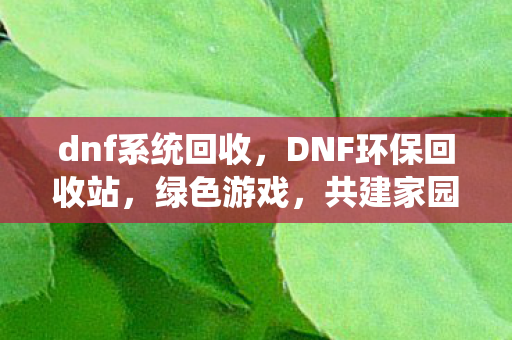 dnf系统回收，DNF环保回收站，绿色游戏，共建家园