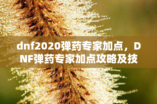 dnf2020弹药专家加点，DNF弹药专家加点攻略及技能运用详解