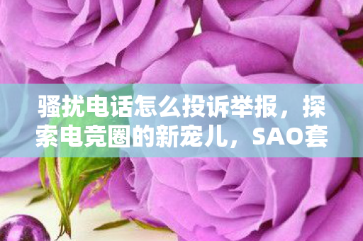 骚扰电话怎么投诉举报，探索电竞圈的新宠儿，SAO套