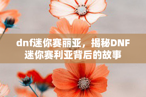 dnf迷你赛丽亚，揭秘DNF迷你赛利亚背后的故事