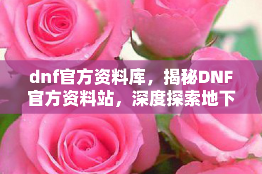 dnf官方资料库，揭秘DNF官方资料站，深度探索地下城与勇士的世界