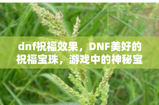 dnf祝福效果，DNF美好的祝福宝珠，游戏中的神秘宝藏与玩家心声