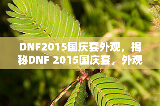 DNF2015国庆套外观，揭秘DNF 2015国庆套，外观、属性及获取方式一网打尽