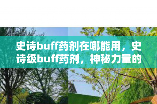 史诗buff药剂在哪能用，史诗级buff药剂，神秘力量的秘密与制作艺术