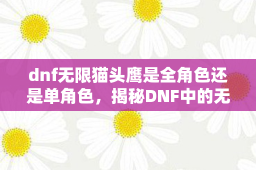 dnf无限猫头鹰是全角色还是单角色，揭秘DNF中的无限猫头鹰现象，真相究竟如何？