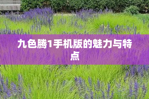 九色腾1手机版的魅力与特点