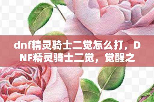 dnf精灵骑士二觉怎么打，DNF精灵骑士二觉，觉醒之旅的巅峰之战