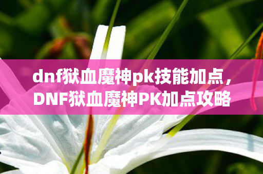 dnf狱血魔神pk技能加点，DNF狱血魔神PK加点攻略，让你成为战场上的霸主！