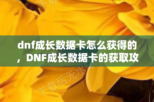 dnf成长数据卡怎么获得的，DNF成长数据卡的获取攻略