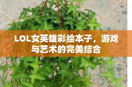 LOL女英雄彩绘本子，游戏与艺术的完美结合