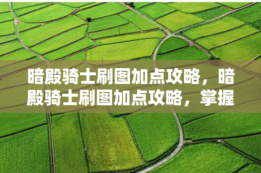 暗殿骑士刷图加点攻略，暗殿骑士刷图加点攻略，掌握技能，轻松应对各种挑战