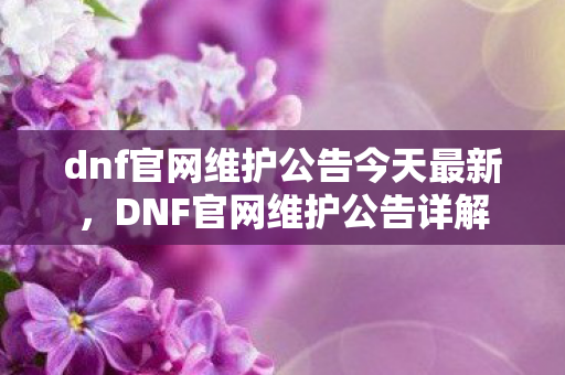 dnf官网维护公告今天最新，DNF官网维护公告详解