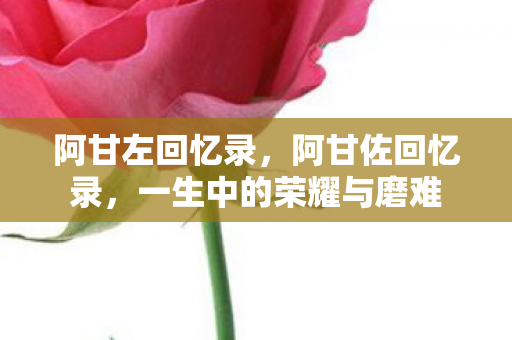 阿甘左回忆录，阿甘佐回忆录，一生中的荣耀与磨难