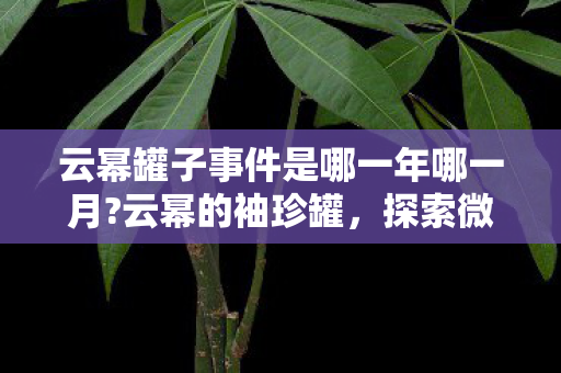 云幂罐子事件是哪一年哪一月?云幂的袖珍罐，探索微观世界的神秘宝藏