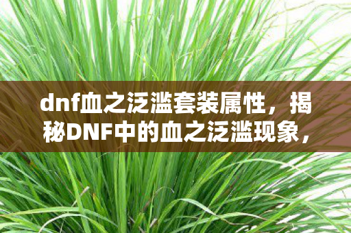 dnf血之泛滥套装属性，揭秘DNF中的血之泛滥现象，背后的真相与应对之道