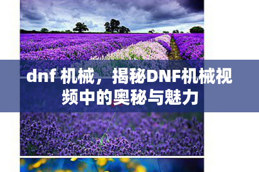 dnf 机械，揭秘DNF机械视频中的奥秘与魅力
