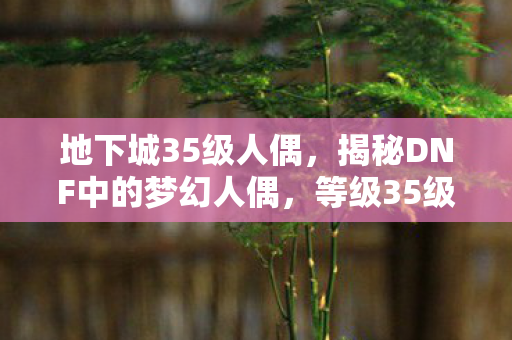 地下城35级人偶，揭秘DNF中的梦幻人偶，等级35级人偶的无限魅力与独特之处