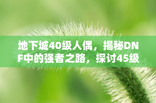 地下城40级人偶，揭秘DNF中的强者之路，探讨45级人偶的巅峰实力与选择策略