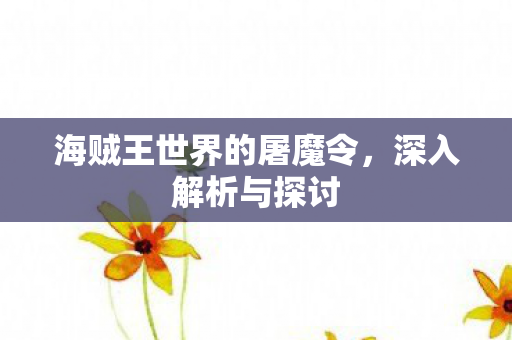 海贼王世界的屠魔令，深入解析与探讨