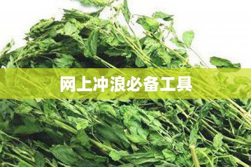 网上冲浪必备工具