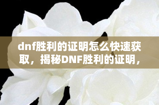 dnf胜利的证明怎么快速获取，揭秘DNF胜利的证明，荣耀背后的故事