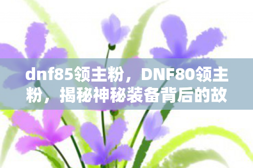 dnf85领主粉，DNF80领主粉，揭秘神秘装备背后的故事