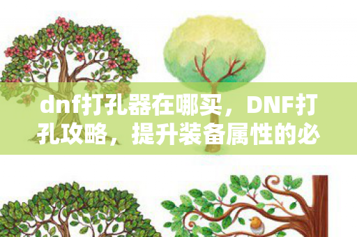 dnf打孔器在哪买，DNF打孔攻略，提升装备属性的必备技巧
