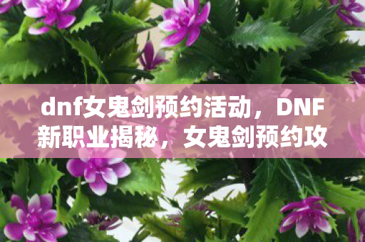 dnf女鬼剑预约活动，DNF新职业揭秘，女鬼剑预约攻略与技能解析