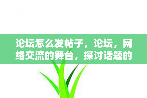 论坛怎么发帖子，论坛，网络交流的舞台，探讨话题的聚集地