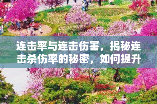 连击率与连击伤害，揭秘连击杀伤率的秘密，如何提升战斗效能？