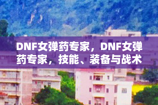 DNF女弹药专家，DNF女弹药专家，技能、装备与战术解析