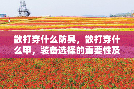 散打穿什么防具，散打穿什么甲，装备选择的重要性及建议