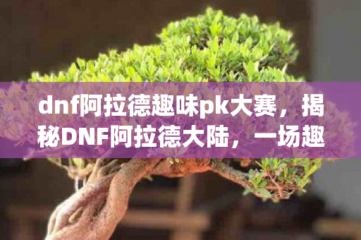dnf阿拉德趣味pk大赛，揭秘DNF阿拉德大陆，一场趣味调研之旅