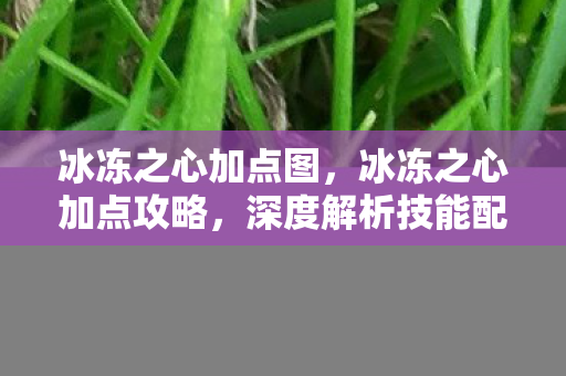 冰冻之心加点图，冰冻之心加点攻略，深度解析技能配置与战斗应用