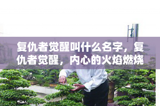 复仇者觉醒叫什么名字，复仇者觉醒，内心的火焰燃烧不止