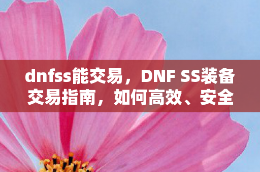 dnfss能交易，DNF SS装备交易指南，如何高效、安全地进行装备买卖？