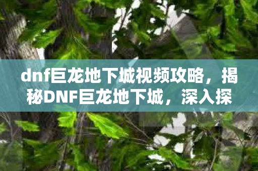 dnf巨龙地下城视频攻略，揭秘DNF巨龙地下城，深入探险的惊险之旅