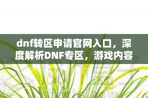 dnf转区申请官网入口，深度解析DNF专区，游戏内容、玩家群体与特色亮点