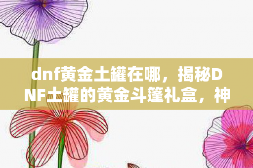 dnf黄金土罐在哪，揭秘DNF土罐的黄金斗篷礼盒，神秘奖励与惊喜连连