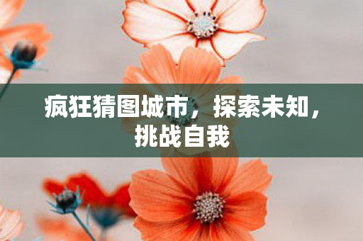 疯狂猜图城市，探索未知，挑战自我