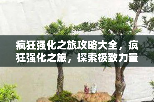 疯狂强化之旅攻略大全，疯狂强化之旅，探索极致力量的奇幻之旅