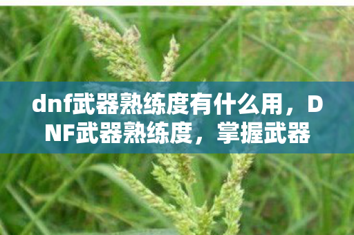 dnf武器熟练度有什么用，DNF武器熟练度，掌握武器的艺术，提升角色实力