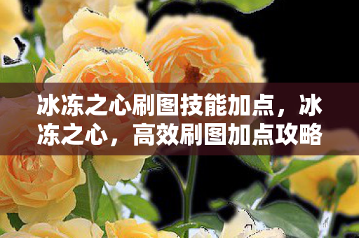 冰冻之心刷图技能加点，冰冻之心，高效刷图加点攻略