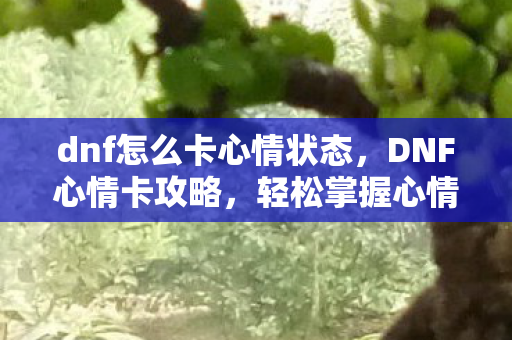 dnf怎么卡心情状态，DNF心情卡攻略，轻松掌握心情调控技巧