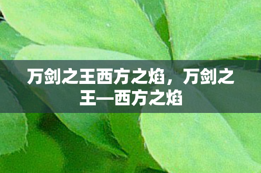 万剑之王西方之焰，万剑之王—西方之焰