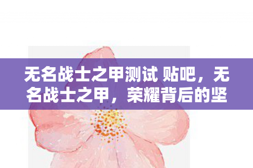 无名战士之甲测试 贴吧，无名战士之甲，荣耀背后的坚韧与牺牲