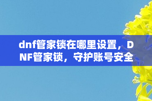 dnf管家锁在哪里设置，DNF管家锁，守护账号安全的新利器