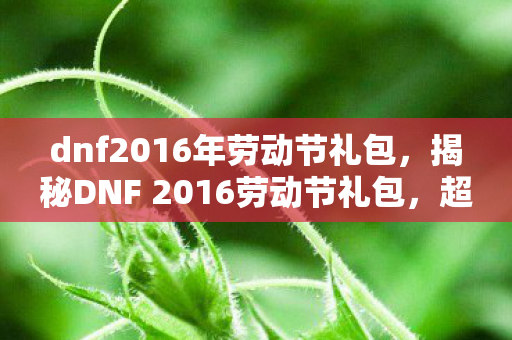 dnf2016年劳动节礼包，揭秘DNF 2016劳动节礼包，超值福利，助力勇士们冒险新征程！